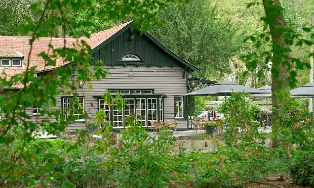 Brasserie Steinerbos in the forest